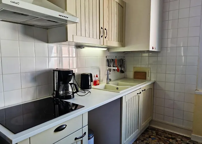 דירה #ex Le Vercors T3 For 4 Close To Gem And Train Station *